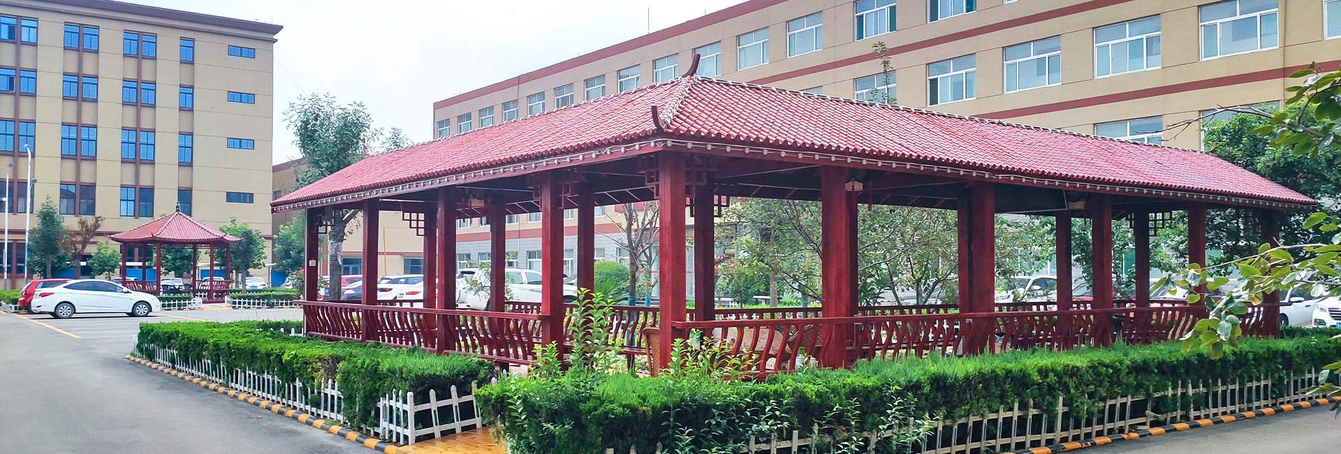 低聚木糖粉廠家