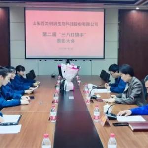 百龍創(chuàng)園召開三八婦女節(jié)表彰大會！