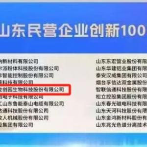 喜報(bào)丨百龍創(chuàng)園入選2025山東民營(yíng)企業(yè)100強(qiáng)
