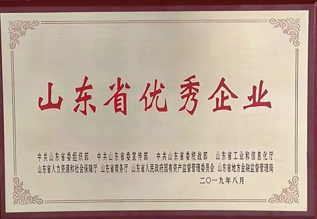 喜報！百龍創(chuàng)園榮獲“山東省優(yōu)秀企業(yè)”稱號