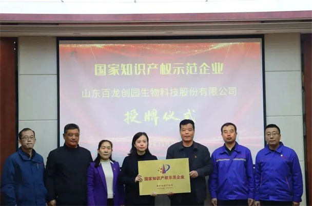 百龍創(chuàng)園舉行國家知識(shí)產(chǎn)權(quán)示范企業(yè)授牌儀式