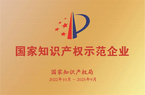 國家知識(shí)產(chǎn)權(quán)示范企業(yè)