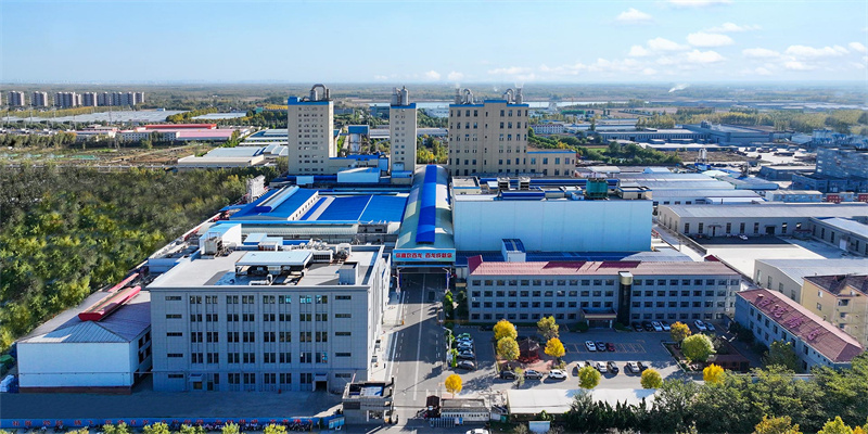 山東百龍創(chuàng)園 山東百龍創(chuàng)園