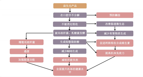 行業(yè)變革之際，百龍創(chuàng)園益生元嶄露頭角