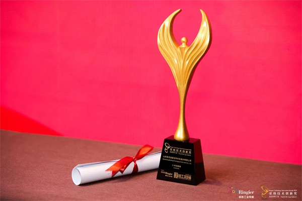 百龍創(chuàng)園榮獲榮格技術(shù)創(chuàng)新獎(jiǎng),創(chuàng)新實(shí)力再獲權(quán)威認(rèn)可
